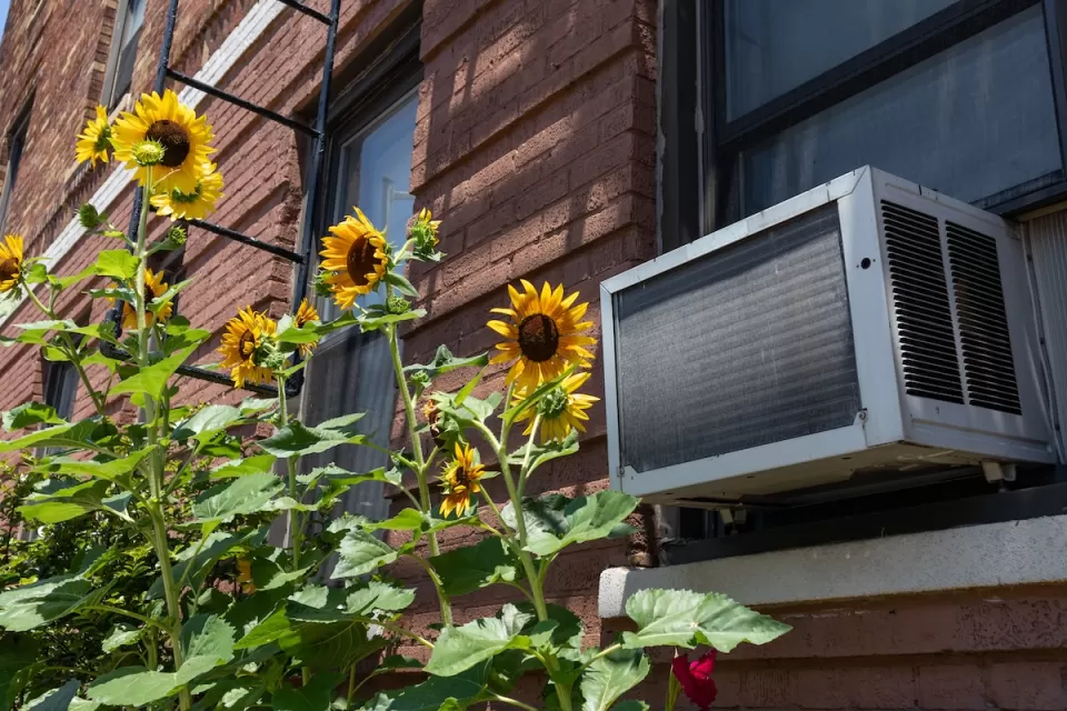air conditioner unit on brick building wiht sunflowers.